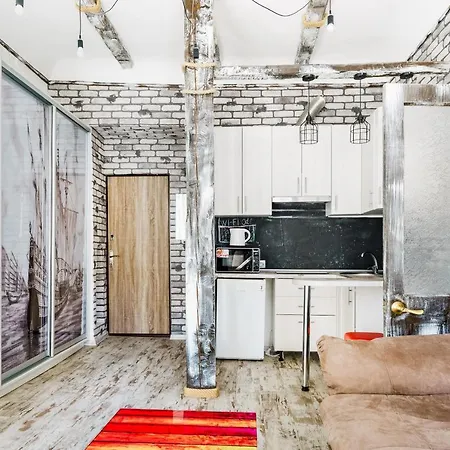 Apartment Loft On Mayakovsky 9
